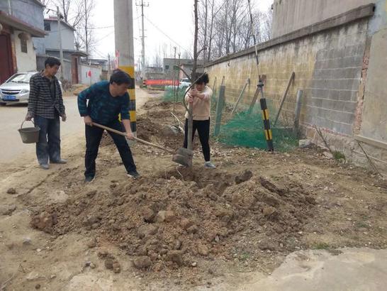 人勤春来早 绿化建设忙