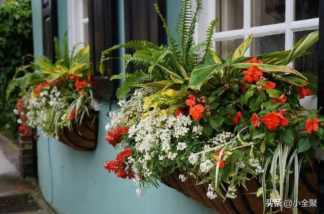 这五十款室外绿化值得学习