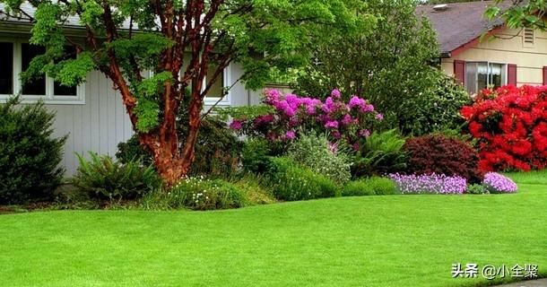 这五十款室外绿化值得学习