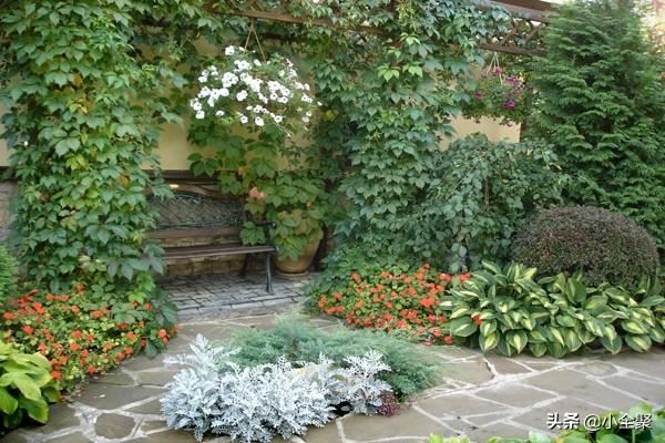 这五十款室外绿化值得学习