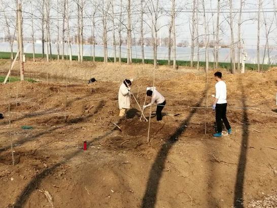 人勤春来早 绿化建设忙