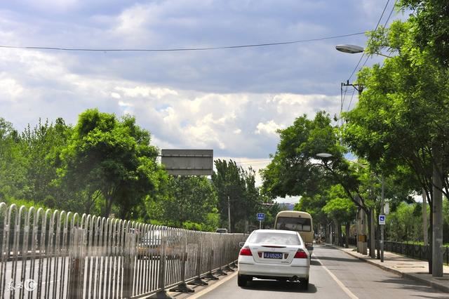 城市绿化标准（国家园林城市为例）