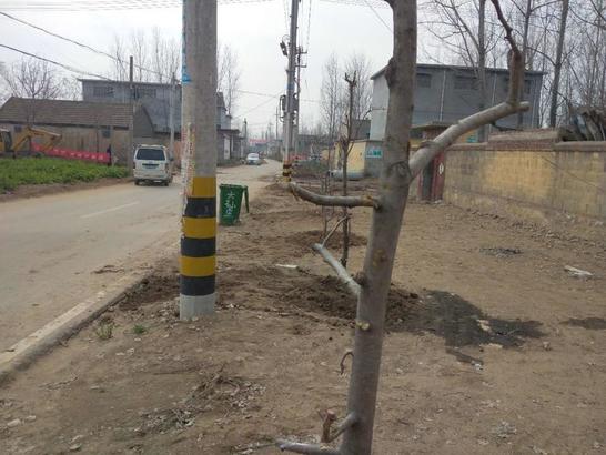 人勤春来早 绿化建设忙