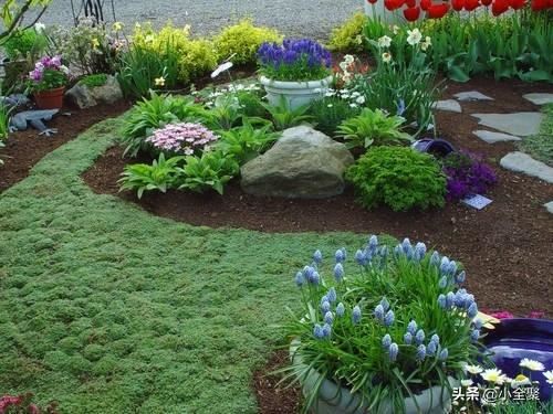 这五十款室外绿化值得学习