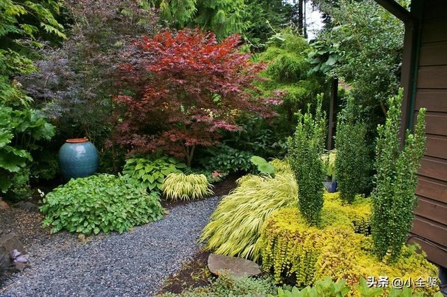 这五十款室外绿化值得学习