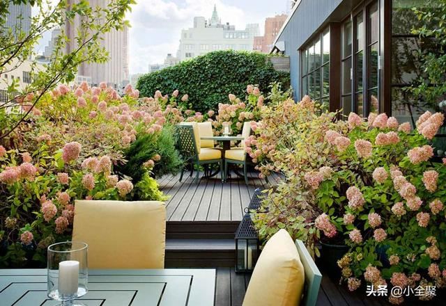 这五十款室外绿化值得学习