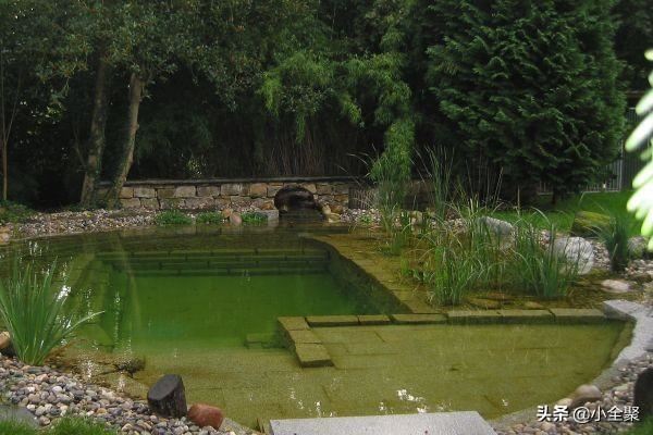 这五十款室外绿化值得学习