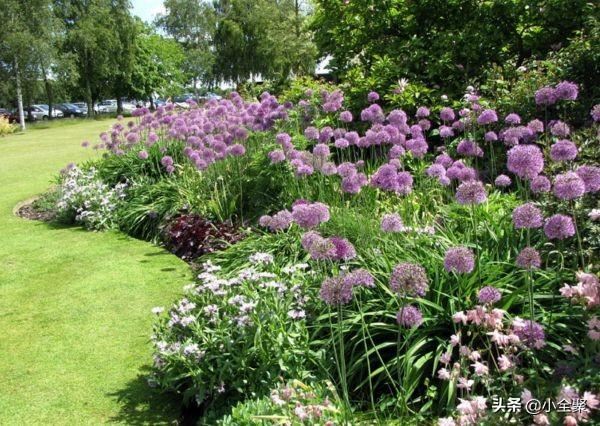 这五十款室外绿化值得学习