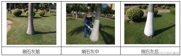 园林景观绿化养护标准和要点篇-含12个月养护方案 园林景观绿化养护标准和要点篇-含12个月养护方案