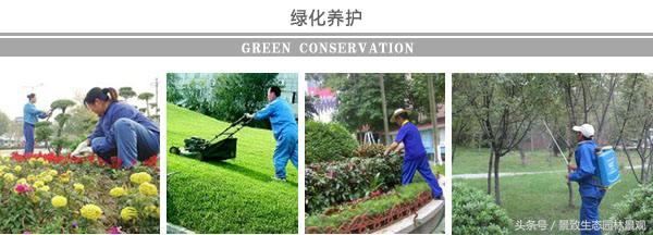 园林景观绿化养护标准和要点篇-含12个月养护方案 园林景观绿化养护标准和要点篇-含12个月养护方案