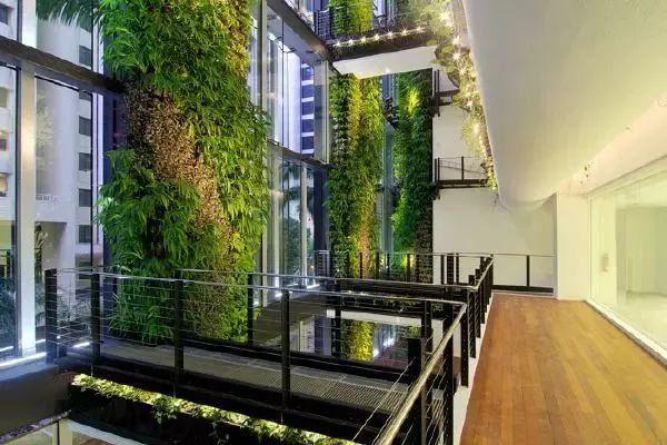 绿化景观设计：看看垂直绿化效果怎么样