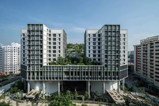 绿化景观设计：看看垂直绿化效果怎么样