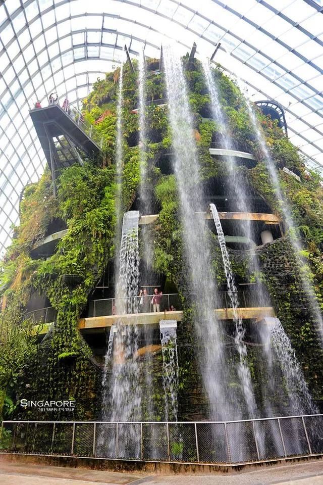 绿化景观设计：看看垂直绿化效果怎么样