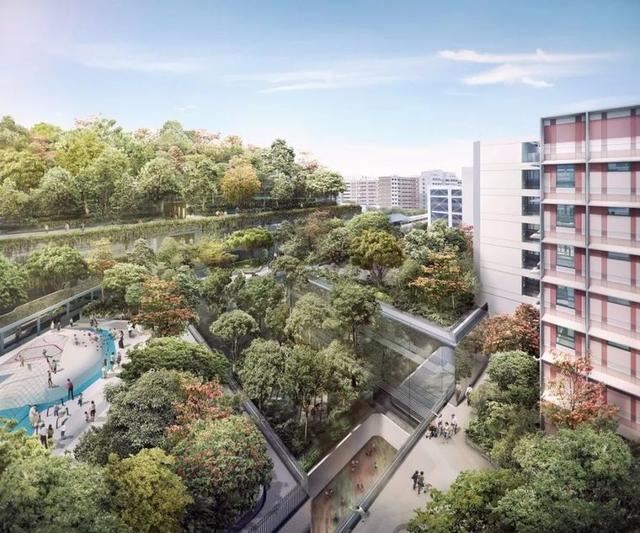 绿化景观设计：看看垂直绿化效果怎么样