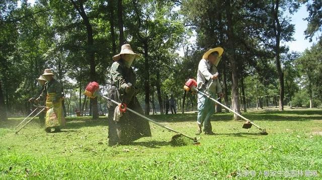 园林景观绿化养护标准和要点篇-含12个月养护方案 园林景观绿化养护标准和要点篇-含12个月养护方案