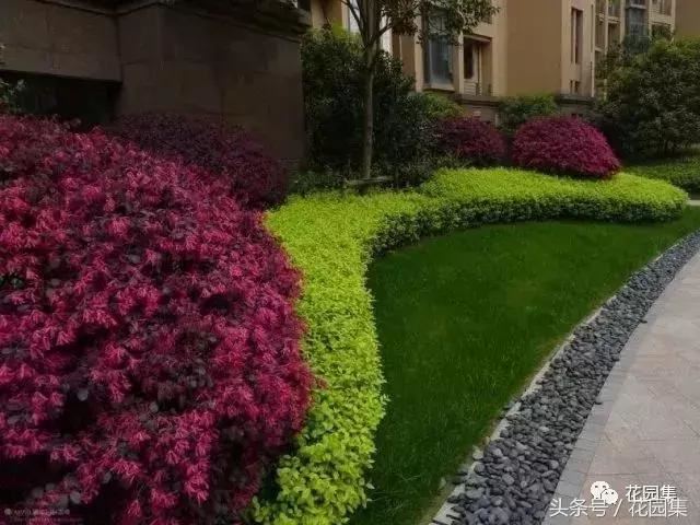 庭院设计中常用的绿化景观树 庭院设计中常用的绿化景观树