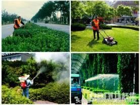 园林景观绿化养护标准和要点篇-含12个月养护方案 园林景观绿化养护标准和要点篇-含12个月养护方案