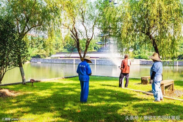 园林景观绿化养护标准和要点篇-含12个月养护方案 园林景观绿化养护标准和要点篇-含12个月养护方案