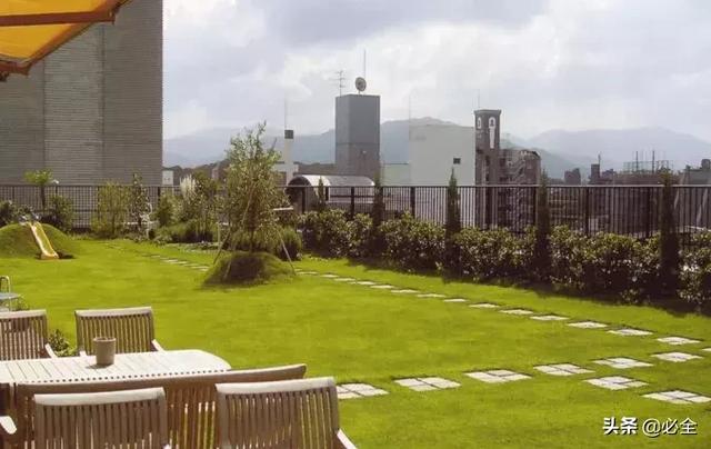 建筑屋顶绿化已经是刻不容缓!苗木人值得一看 建筑屋顶绿化已经是刻不容缓!苗木人值得一看