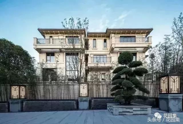 庭院设计中常用的绿化景观树 庭院设计中常用的绿化景观树