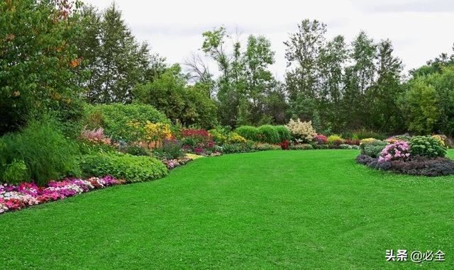 干货 ‖ 难得一见的园林绿化施工过程全记录 干货 ‖ 难得一见的园林绿化施工过程全记录