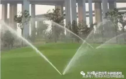 前期介入园林绿化工程该注意的问题