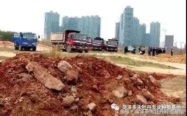 前期介入园林绿化工程该注意的问题