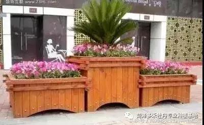 前期介入园林绿化工程该注意的问题