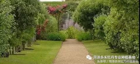 前期介入园林绿化工程该注意的问题