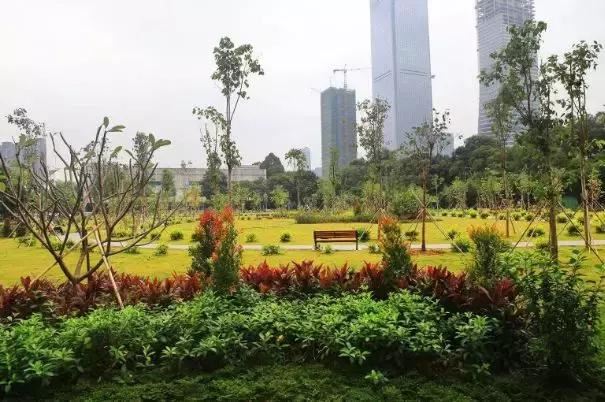 园林绿化工程中存在的部分问题及建议 园林绿化工程中存在的部分问题及建议