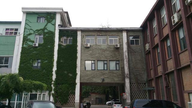 城市绿化对改善城市生态环境具有哪些不可或缺的作用？