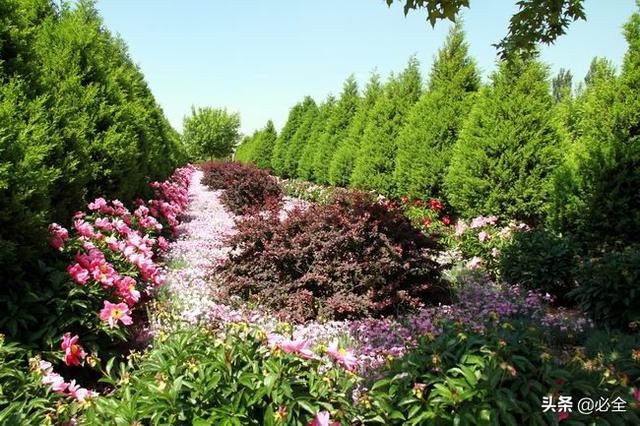 干货 ‖ 难得一见的园林绿化施工过程全记录 干货 ‖ 难得一见的园林绿化施工过程全记录