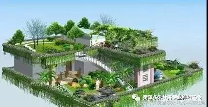 前期介入园林绿化工程该注意的问题