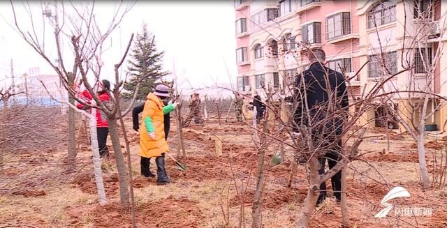 威海：疫情防控不松劲 全力推进春季园林绿化和植树造林工作