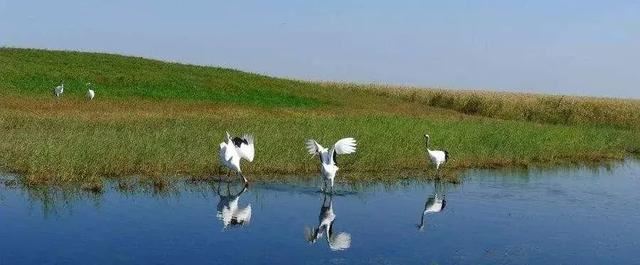 林业知识之保护管理部分 林业人必备! 林业知识之保护管理部分 林业人必备!