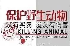 林业知识之保护管理部分 林业人必备! 林业知识之保护管理部分 林业人必备!