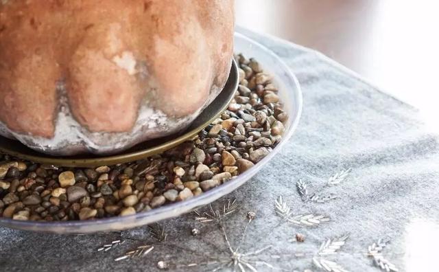 导致仙人指花朵掉落的几大原因,不要不当一回事 导致仙人指花朵掉落的几大原因,不要不当一回事