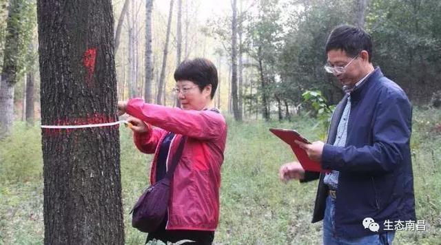 林业知识之保护管理部分 林业人必备! 林业知识之保护管理部分 林业人必备!
