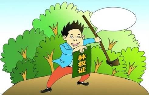 林业常识(一)——基础知识 林业常识(一)——基础知识