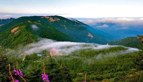 林业人眼中的16处“最美森林”了解一下 林业人眼中的16处“最美森林”了解一下