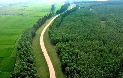 林业常识(一)——基础知识 林业常识(一)——基础知识