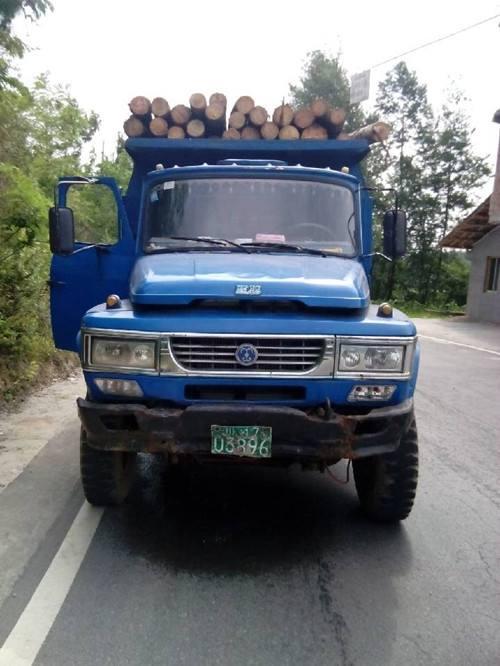 林业常识(一)——基础知识 林业常识(一)——基础知识