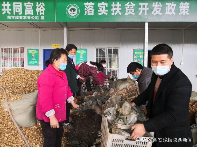 南郑大地春意浓——汉中市南郑区党员干部防疫期间为民服务“不打烊”纪实