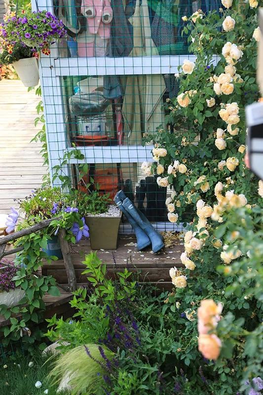 从基建到植物，2年造一个2000平花园