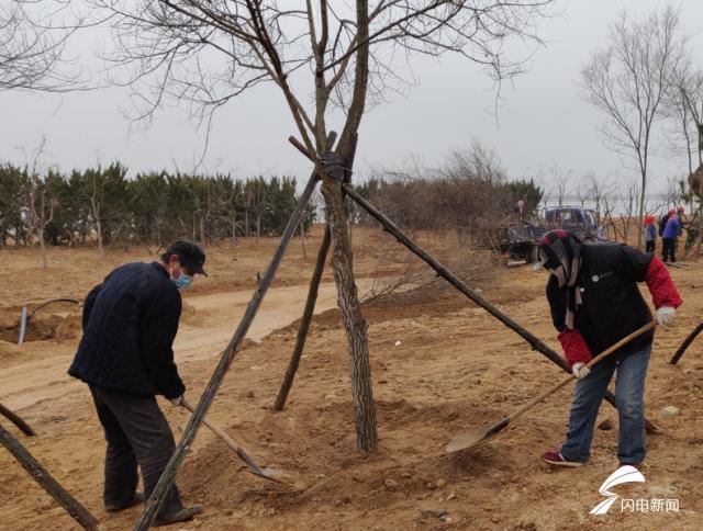 防疫不放松 威海南海新区春季绿化正当时