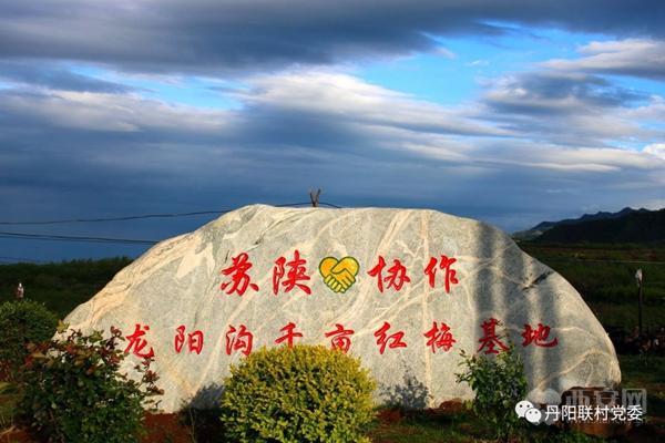 千亩红梅迎春绽放,周至龙阳沟里馨香怡人 千亩红梅迎春绽放,周至龙阳沟里馨香怡人