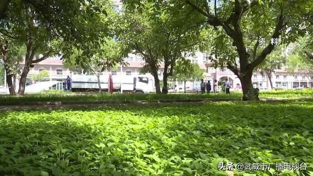 武威:稳步推进“省级森林城市”创建 武威:稳步推进“省级森林城市”创建