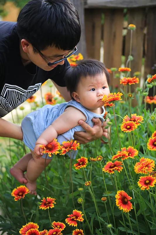 从基建到植物，2年造一个2000平花园