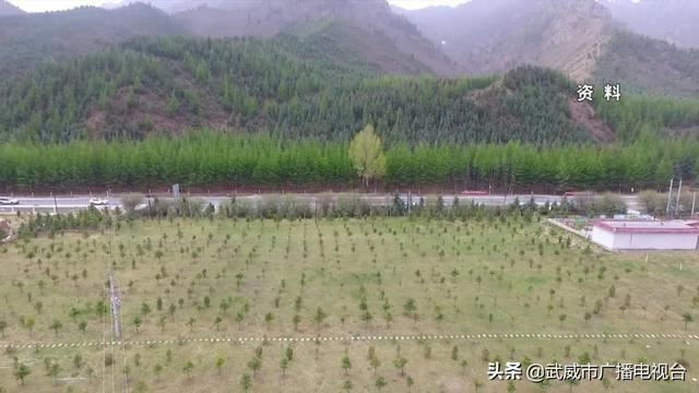 武威:稳步推进“省级森林城市”创建 武威:稳步推进“省级森林城市”创建