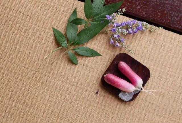 庭院设计师的庭院会做成什么样? 庭院设计师的庭院会做成什么样?